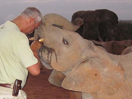 David Sheldrick Wildlife Trust - Ithumba Unit - Tsavo East