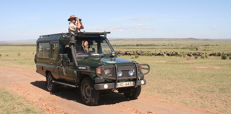 Masai Mara, Game Drive