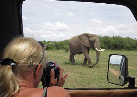 Masai Mara, Game Drive