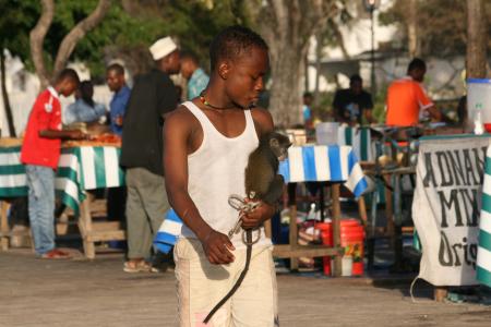 Forodhani Park in Stone Town