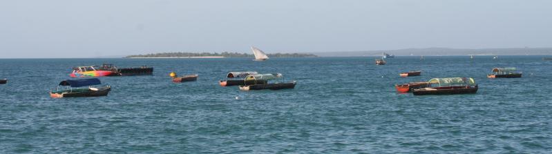 Zanzibar, Stown Town