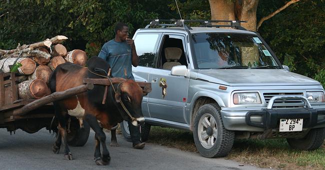 Unterwegs auf Zanzibar