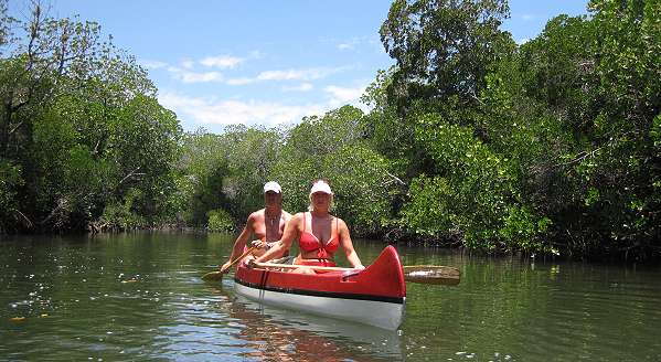Mida Creek - Mangroven Kanu Exkursion