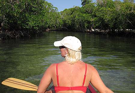 Mida Creek - Mangroven Kanu Exkursion