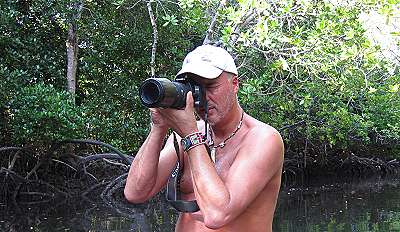 Mida Creek - Mangroven Kanu Exkursion