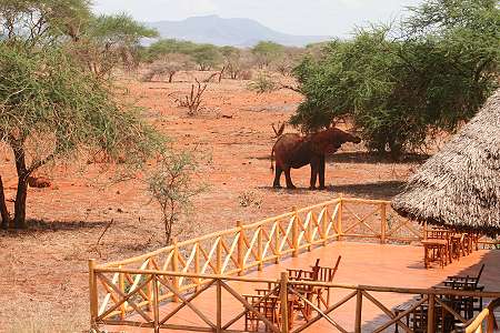 Ngutuni Game Lodge
