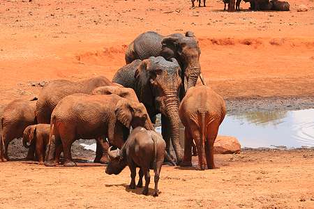 Ngutuni Game Lodge