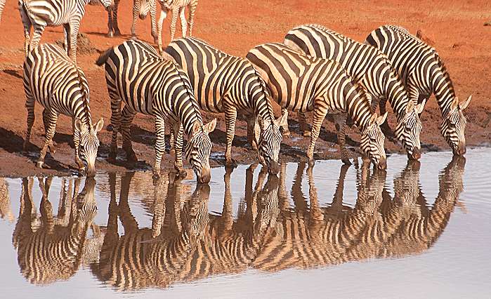 Ngutuni Game Lodge