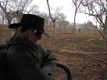 Selous Game Drive, Wild Ddog Safari