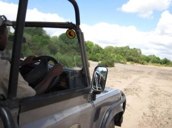 Game Drive im Selous