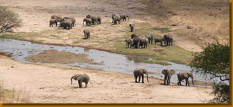 Tarangire Safari Lodge