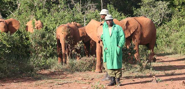 David Sheldrick Wildlife Trust