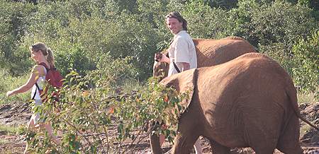 David Sheldrick Wildlife Trust