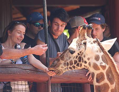 Giraffe Center Nairobi