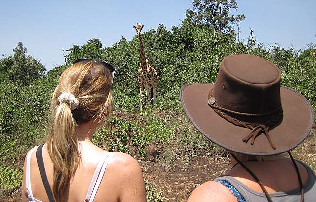 Giraffe Center Nairobi