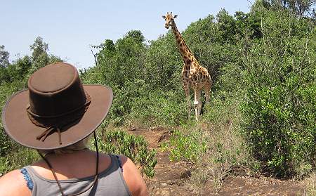 Giraffe Center Nairobi