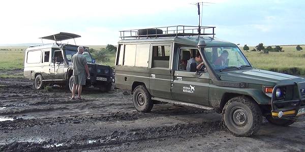 Hyaena Recharch Projekt Masai Mara