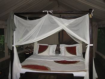 Mara Bush Camp - Ol Kiombo
