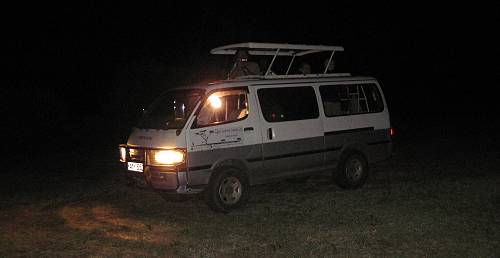 Night Game Drive