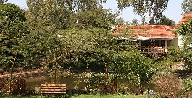 Wildebeest Eco Camp - Nairobi