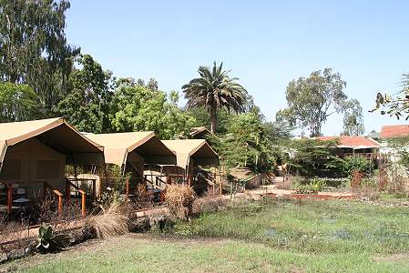 Wildebeest Eco Camp - Nairobi