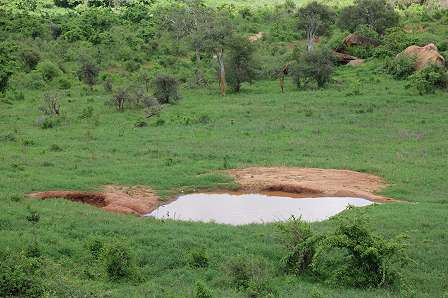Ngulia Bandas oder Rhino Valley Lodge - Tsavo West National Park