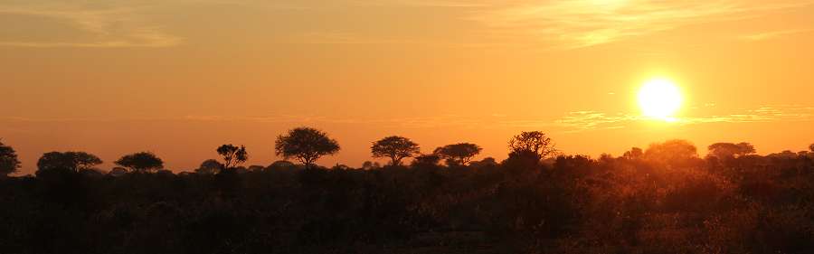 Ngutuni Lodge and Reserve