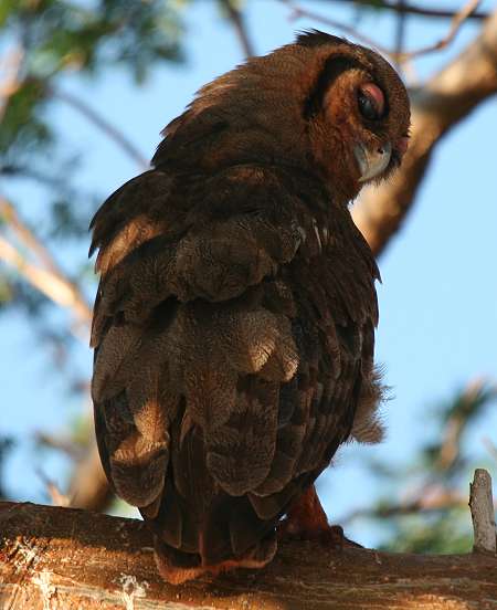 Ngutuni Lodge and Reserve