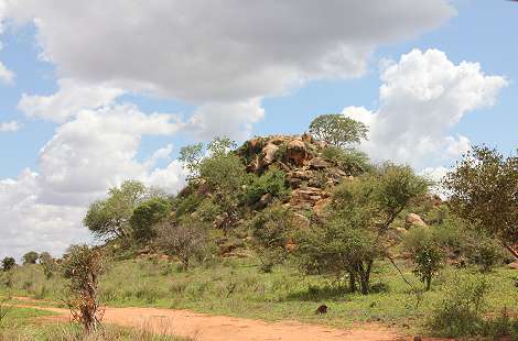 Ngutuni Lodge and Reserve