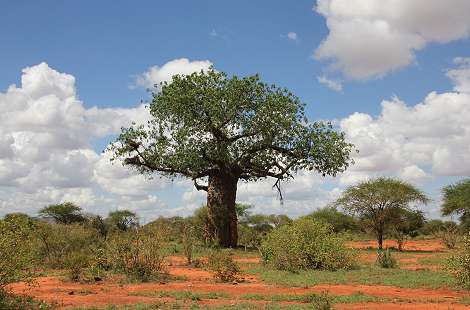 Ngutuni Lodge and Reserve