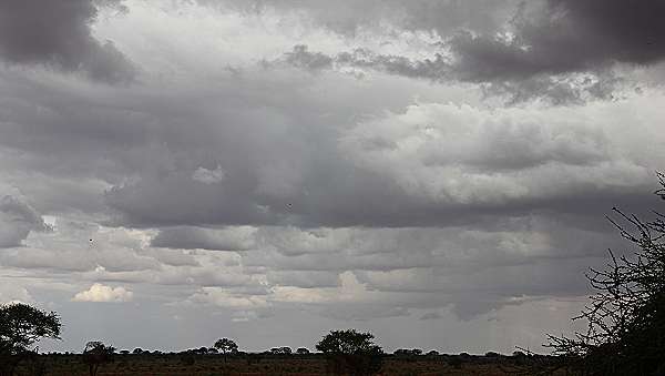 Ngutuni Lodge and Reserve