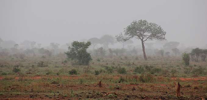 Ngutuni Lodge and Reserve