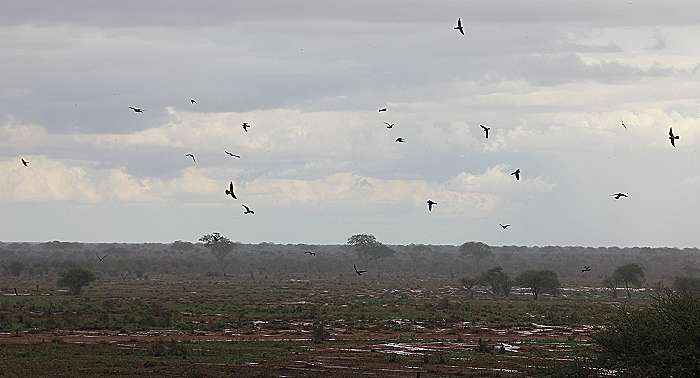 Ngutuni Lodge and Reserve