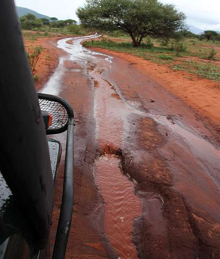 Ngutuni Lodge and Reserve