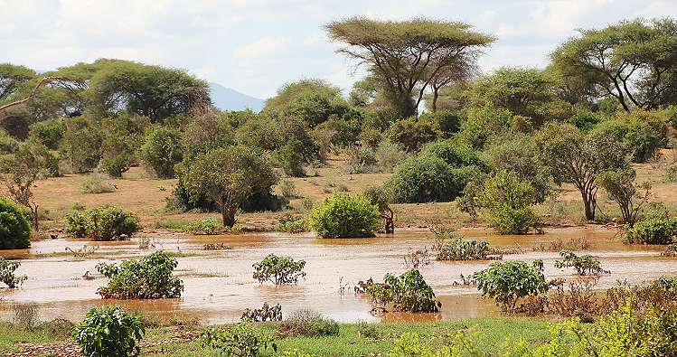 Voi River