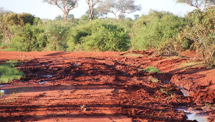 mit dem KAD 643 G im Tsavo unterwegs