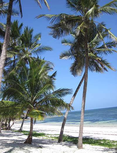 Shanzu Beach, November 2013