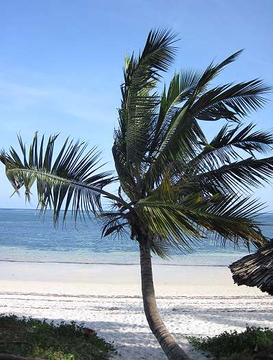 Shanzu Beach, November 2013