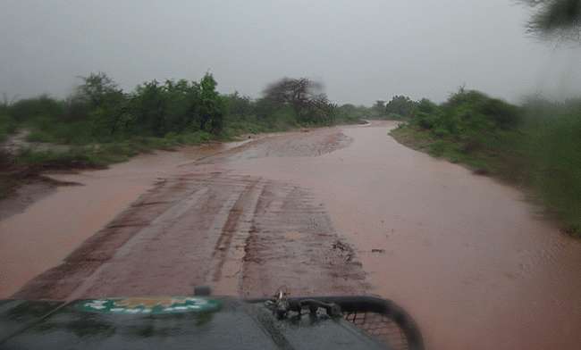 Regenzeit im Tsavo