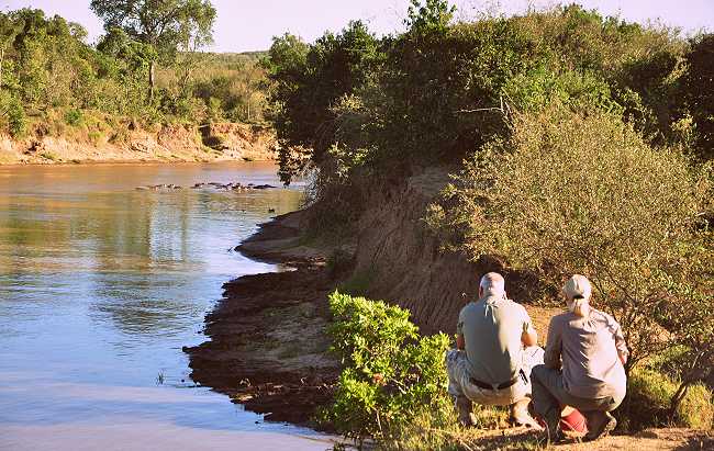 Fotofalle am Krokodilnest,  Mara River