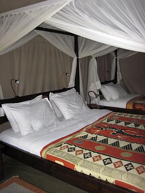 Mara Bush Camp