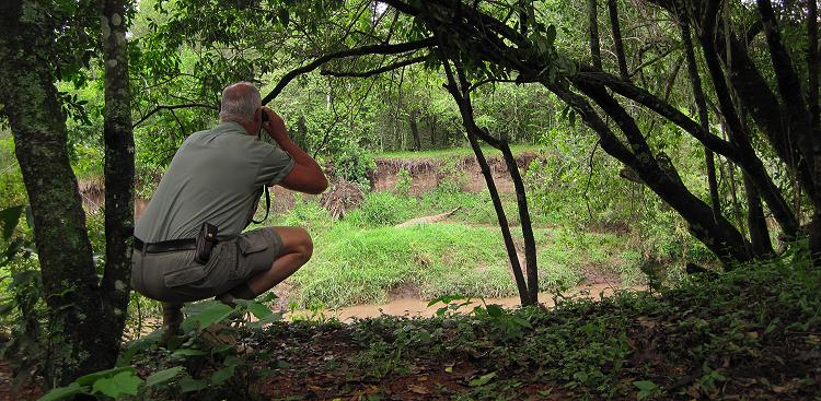 Jörg Reinecke on Safari