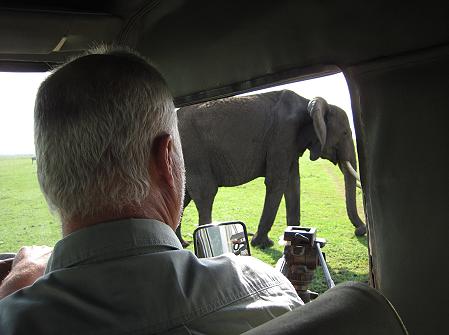 Elefanten, Masai Mara
