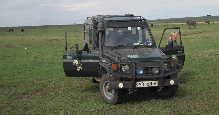 Elefanten, Masai Mara