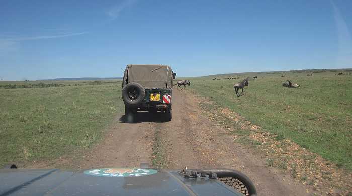 Masai Mara