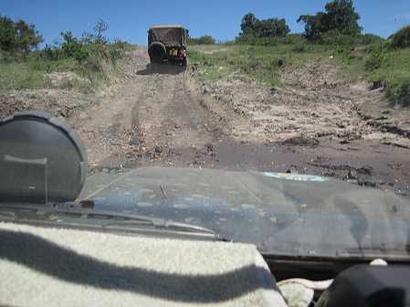 Masai Mara