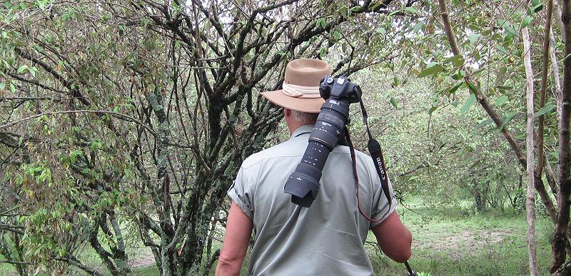 Jörg Reinecke on Safari