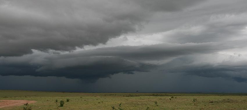 Regen Masai Mara
