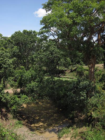 Game Drive