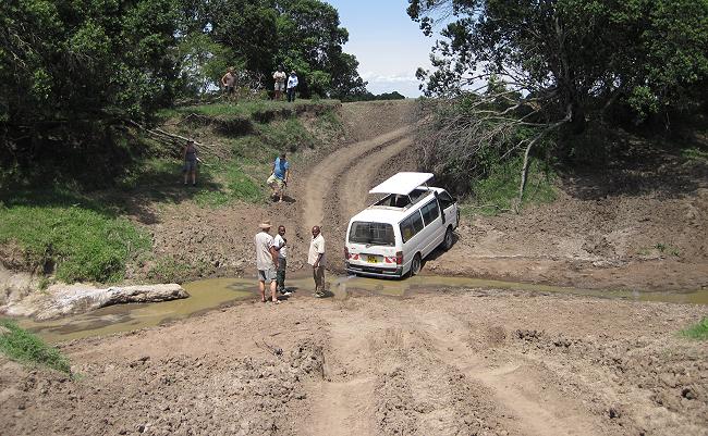 Mara Safari